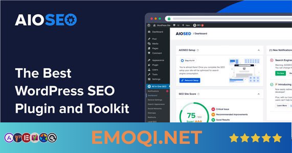 Download All in One SEO Pack Pro v4.6.2